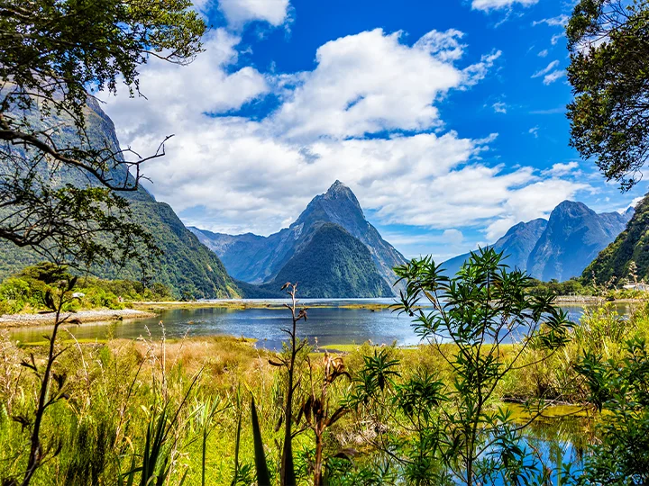 New Zealands højdepunkter