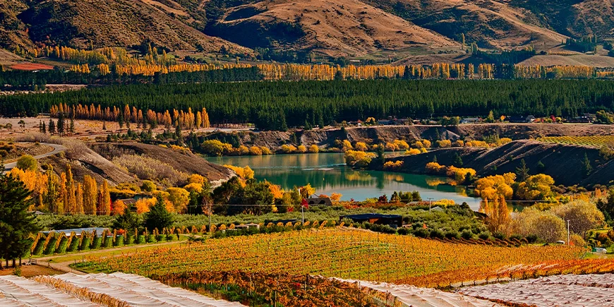 Central Otago i efterårsfarver
