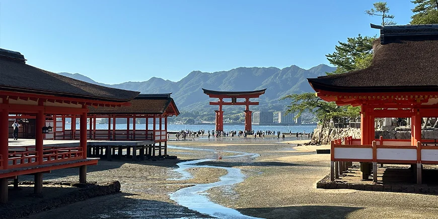 Lavvande på Miyajima island