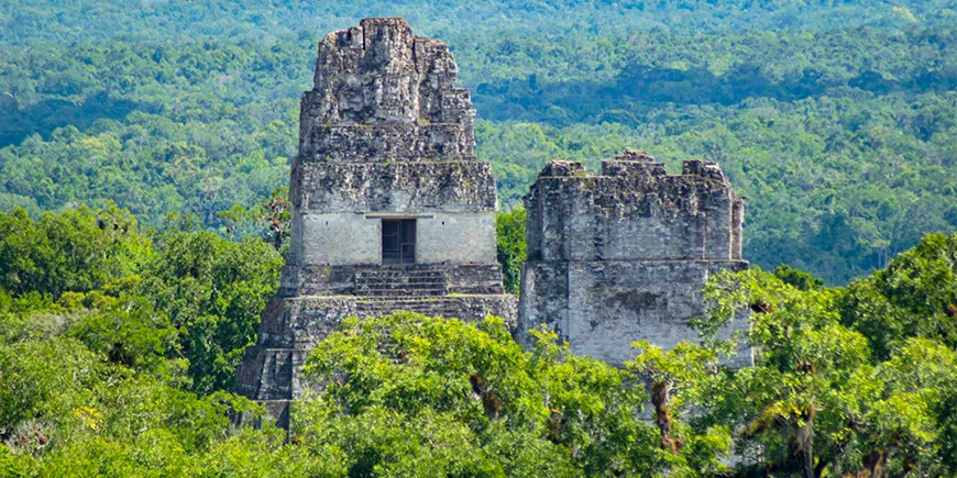 Ruiner tårner op over regnskoven i Tikal Nationalpark i Guatemala