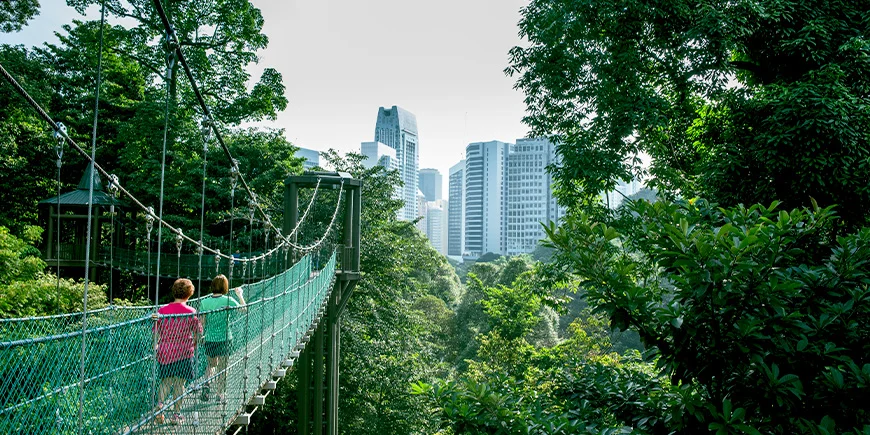 To kvinder går på en hængebro i KL Forest Eco Park i Kuala Lumpur