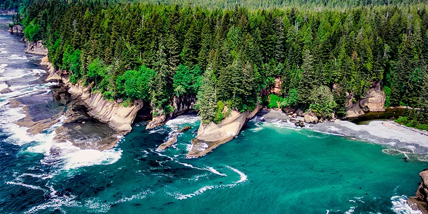 Pacific Rim på Vancouver Island i det vestlige Canada