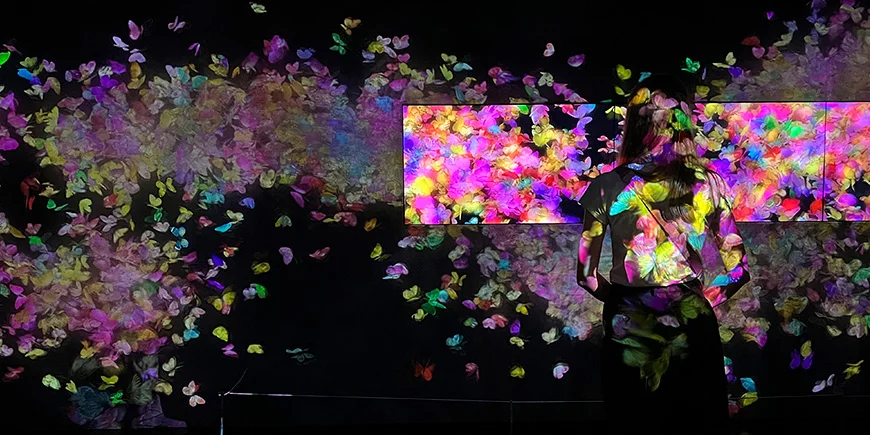 Lyserødt lysshow i TeamLab Bordeless