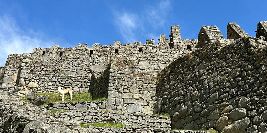 Tæt på ruinerne ved Machu Picchu
