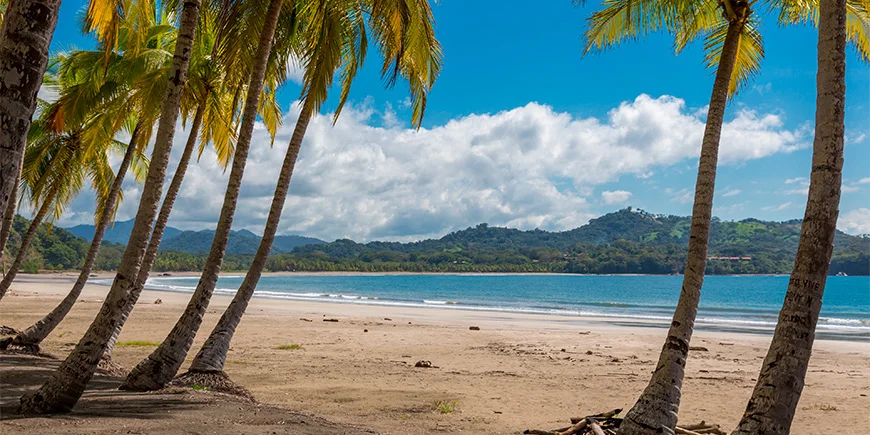 Palmetræer og blå himmel på Sámara-stranden i Costa Rica