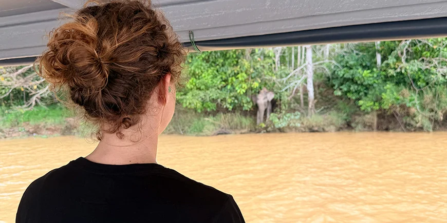 Jude fra TourCompass kigger på elefanter ved Kinabatangan-floden