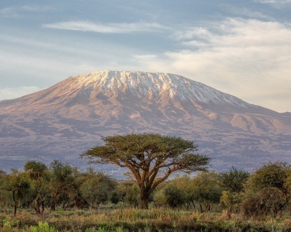 Udsigt til Kilimanjaro