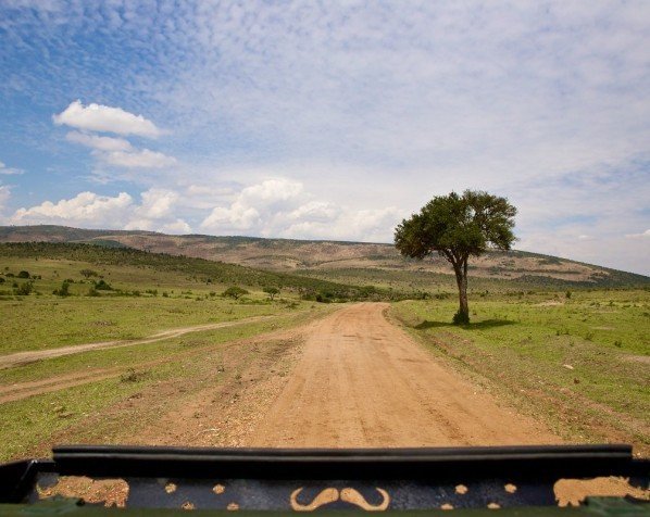 På safari i Masai Mara