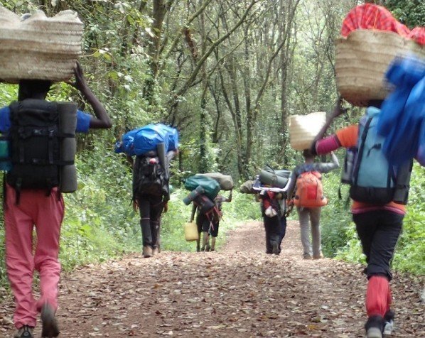 Bærere Kilimanjaro