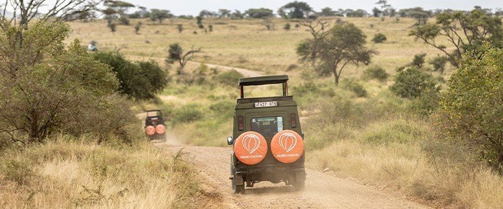 De 5 bedste safarilande i Afrika