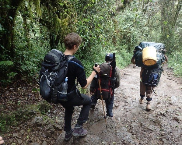 Nedstigning fra Kilimanjaro