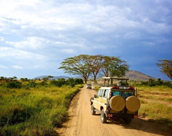 Gamedrive på Serengeti