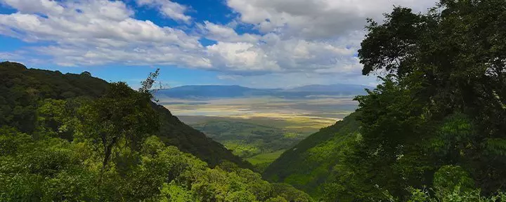 Oversigtsbillede fra Ngorongoro i Tanzania