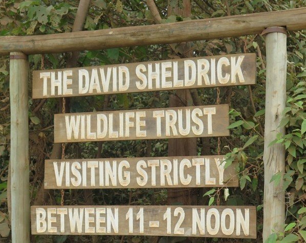 David Sheldrick