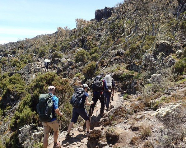 Hiking gennem det skrånende hedelandskab