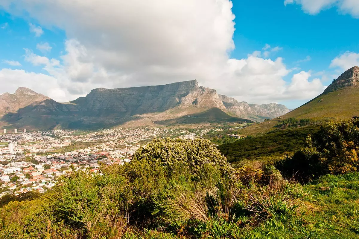 Udsigt til Lions Head og Cape Town