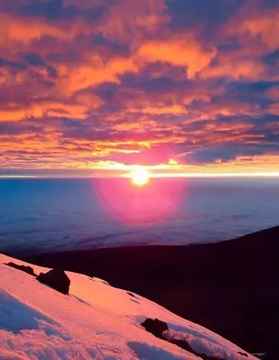 Solopgang med lyserød himmel på Kilimanjaro