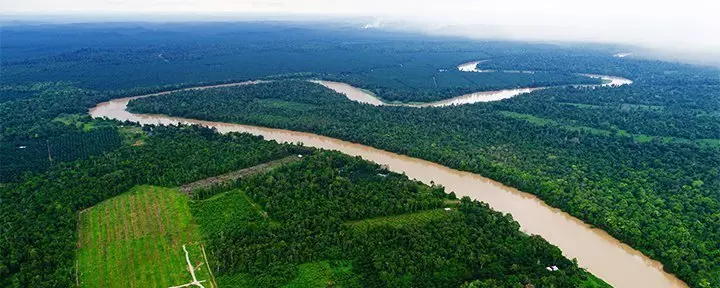 Udsigt over Kinabatangan-floden på Borneo