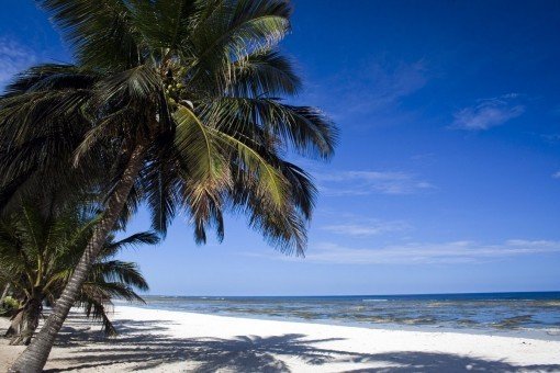 De kridhvide strande på Mombasa