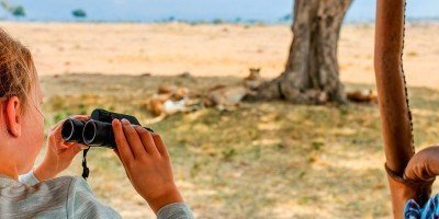 Pige på safari i Kenya med løver i baggrunden.