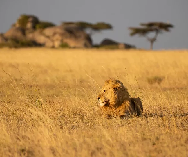 Tanzania