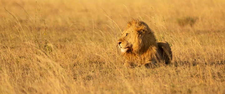 Tanzania