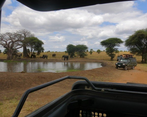 Udsigt fra safaribil til vandhul med elefanter